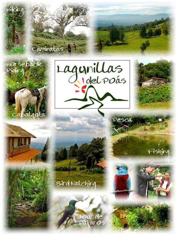 Lagunillas Del Poas Poasito Ruang foto