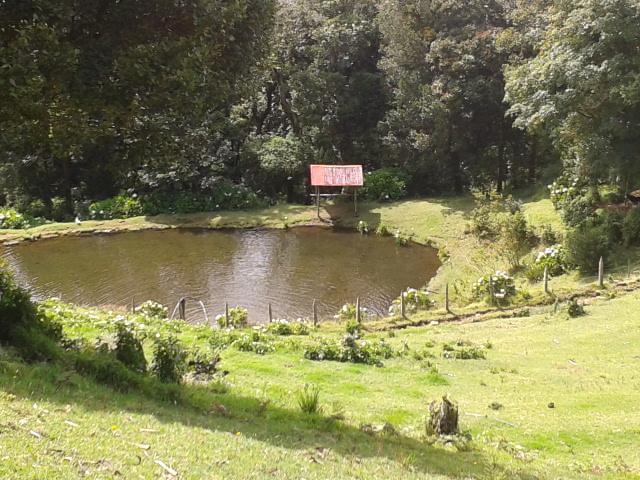 Lagunillas Del Poas Poasito Bagian luar foto